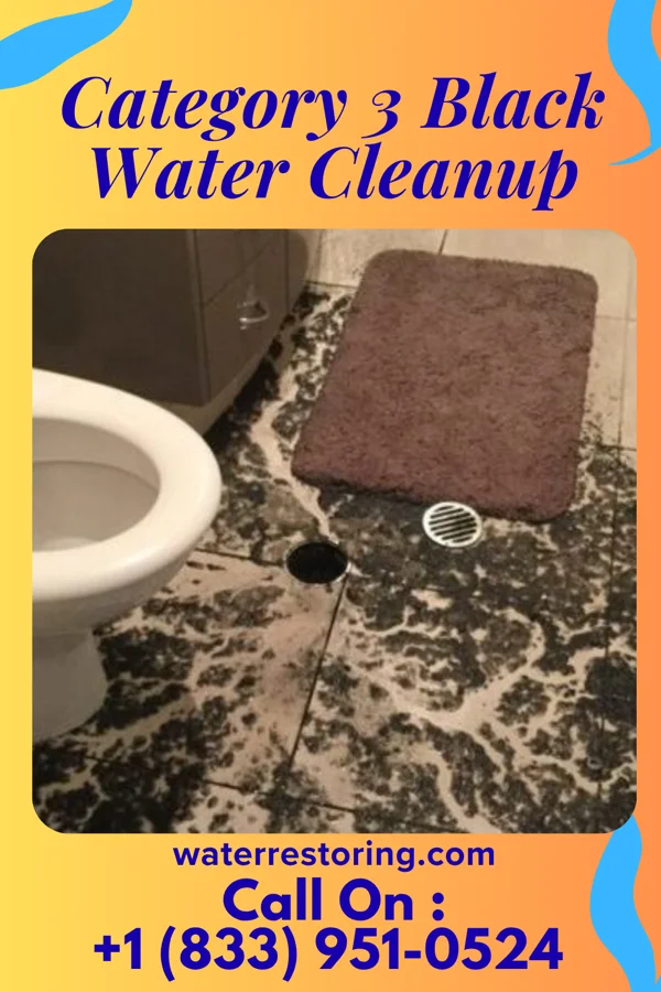 Category 3 Black Water Cleanup in Seven Mile, OH