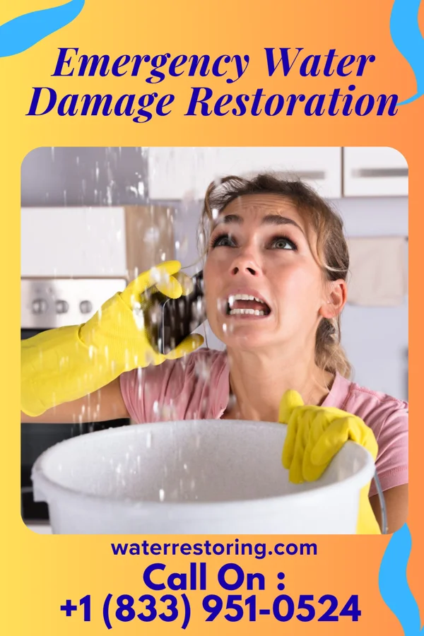 Emergency Water Damage Restoration in Seven Mile, OH