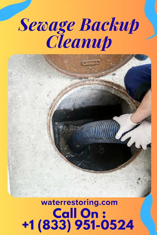 Sewage Backup Cleanup in Seven Mile, OH