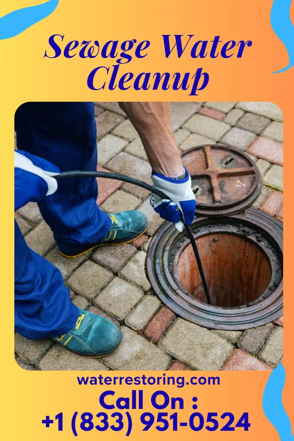 Sewage Water Cleanup in Seven Mile, OH