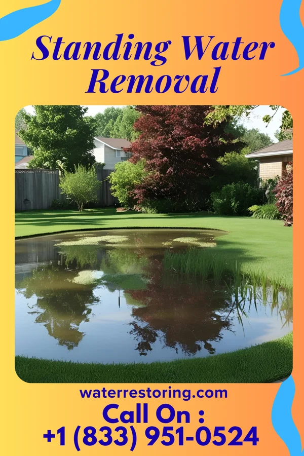 Standing Water Removal in Seven Mile, OH